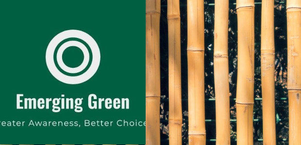 Emerging Green… Eco-Friendly Products www.emerging-green.biz Emerging Green is a small […]