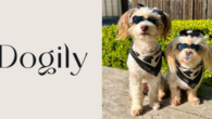 Dogily | World-First Luxury Pet Accessories Online Store https://dogily.com/pages/we-care Together […]